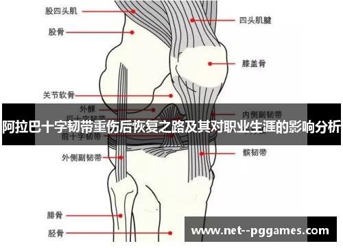 阿拉巴十字韧带重伤后恢复之路及其对职业生涯的影响分析